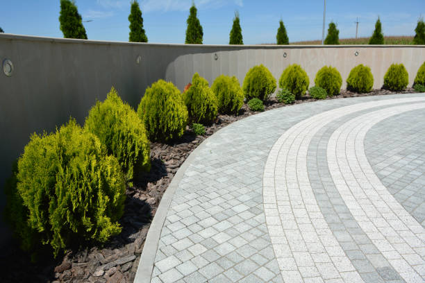 Best Affordable Driveway Pavers  in Lamar, CO